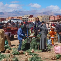 Lots of onions on the market